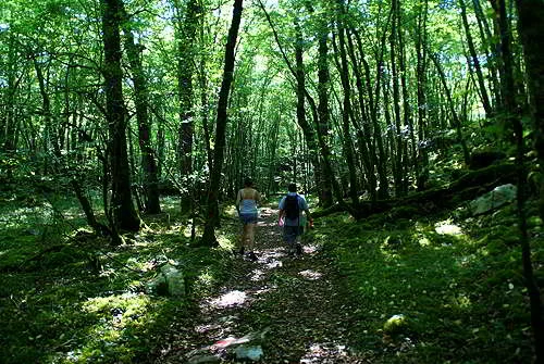 randonnees-domaine-ormeaux-4